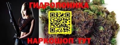 ПСИЛОЦИБИНОВЫЕ ГРИБЫ Вязники