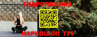 СК Гуково